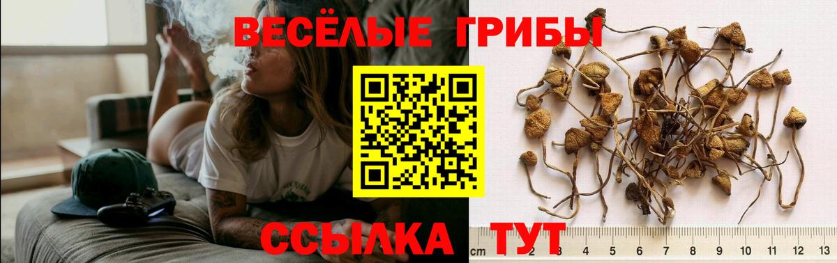 Псилоцибиновые грибы мухоморы Среднеуральск