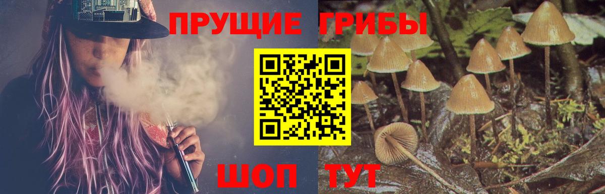 Галлюциногенные грибы MAGIC MUSHROOMS  Вход с VPN  Среднеуральск 